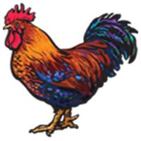 product-image-Kylling