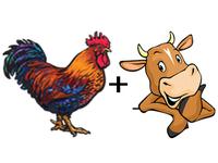 product-image-Kylling og okse