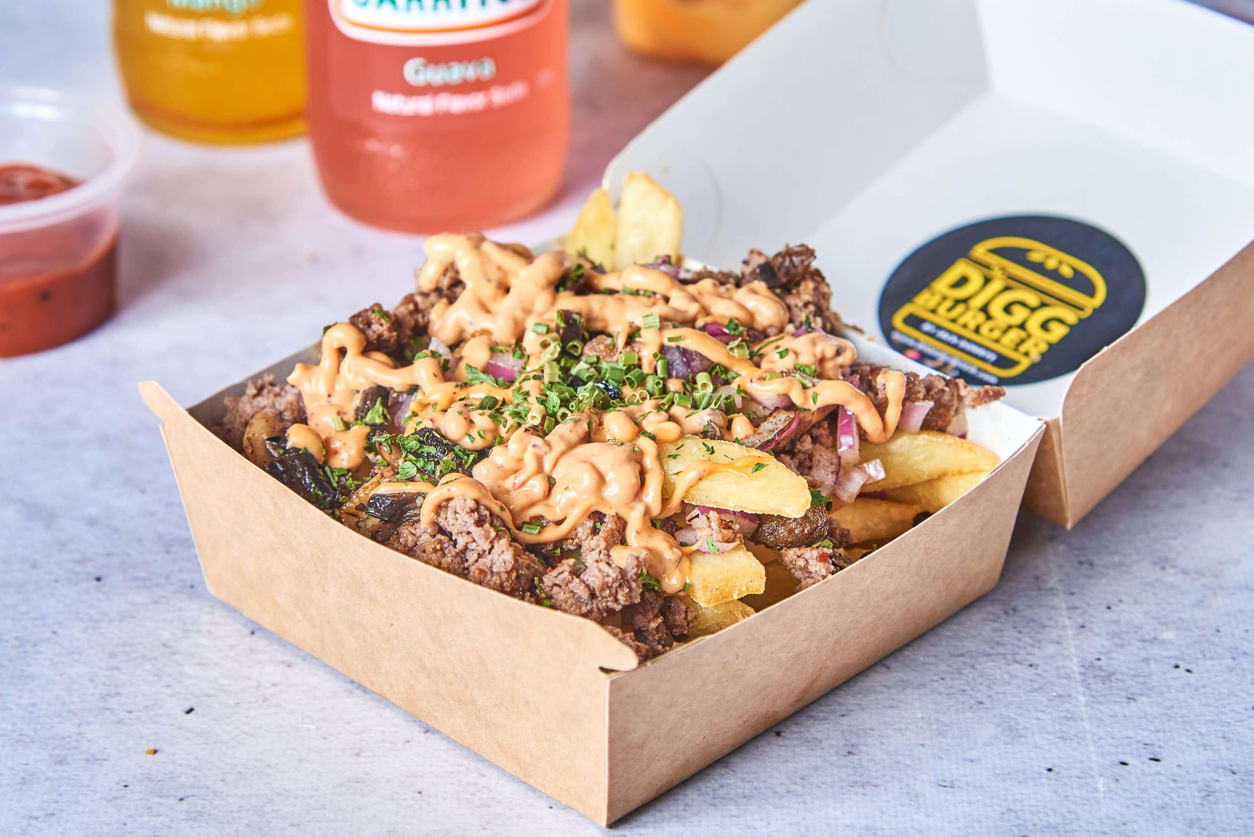 product-image-DIGG Loaded Fries (Biff)