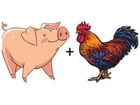 product-image-Svin og kylling