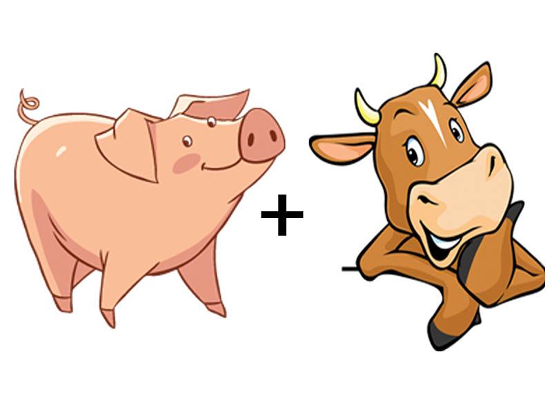 product-image-Svin og okse