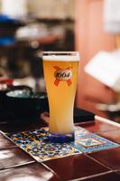 product-image-Blanc 1664 Kronenbourg - Tap