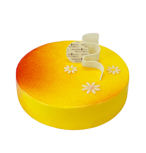 product-image-Kake - Passion