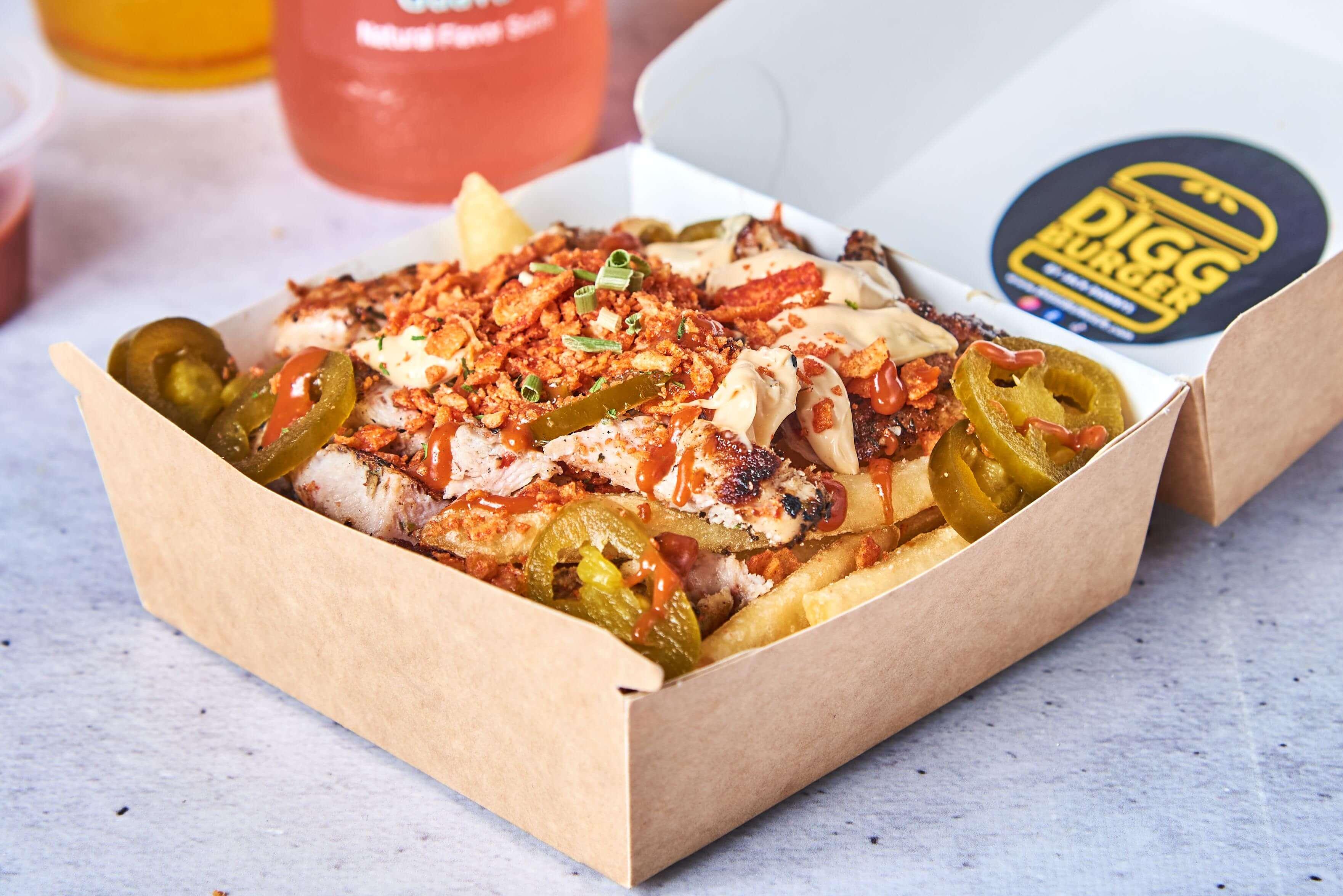 product-image-DIGG Special Fries (Kylling)