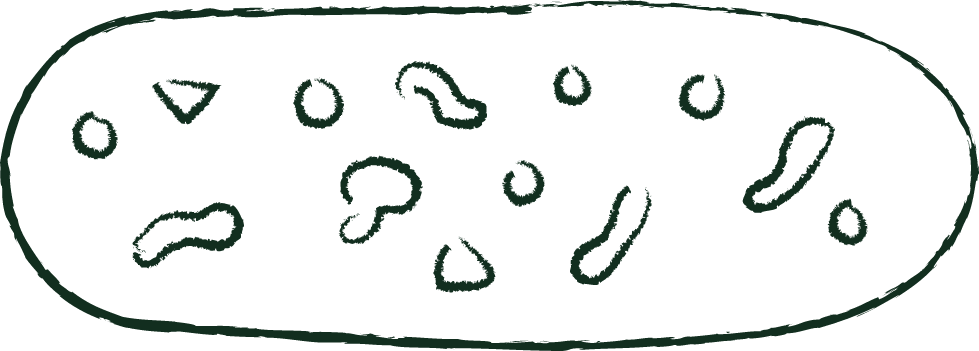 product-image-Bygg selv